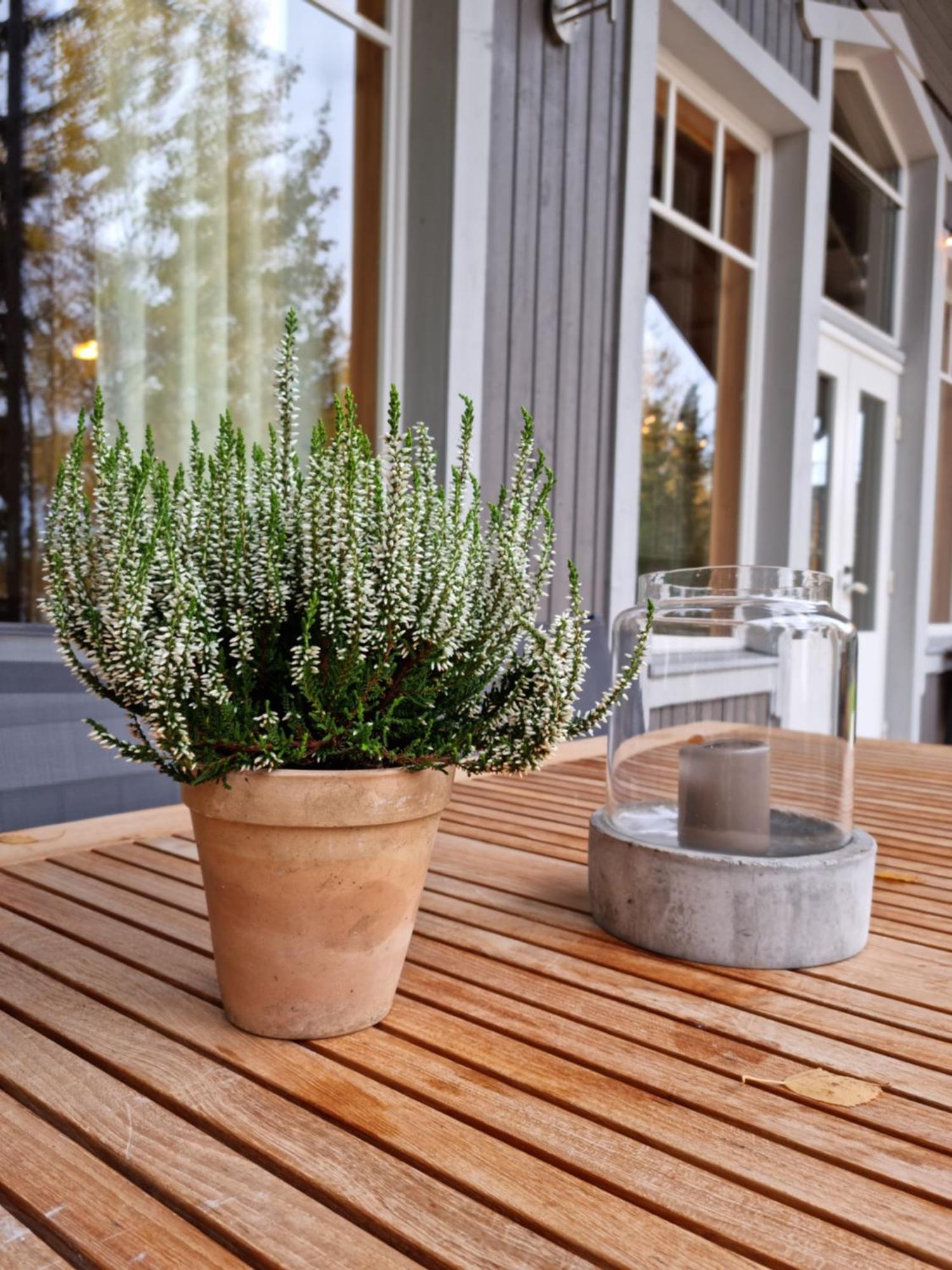 Miiluranta Villas Haapamäki Buitenkant foto