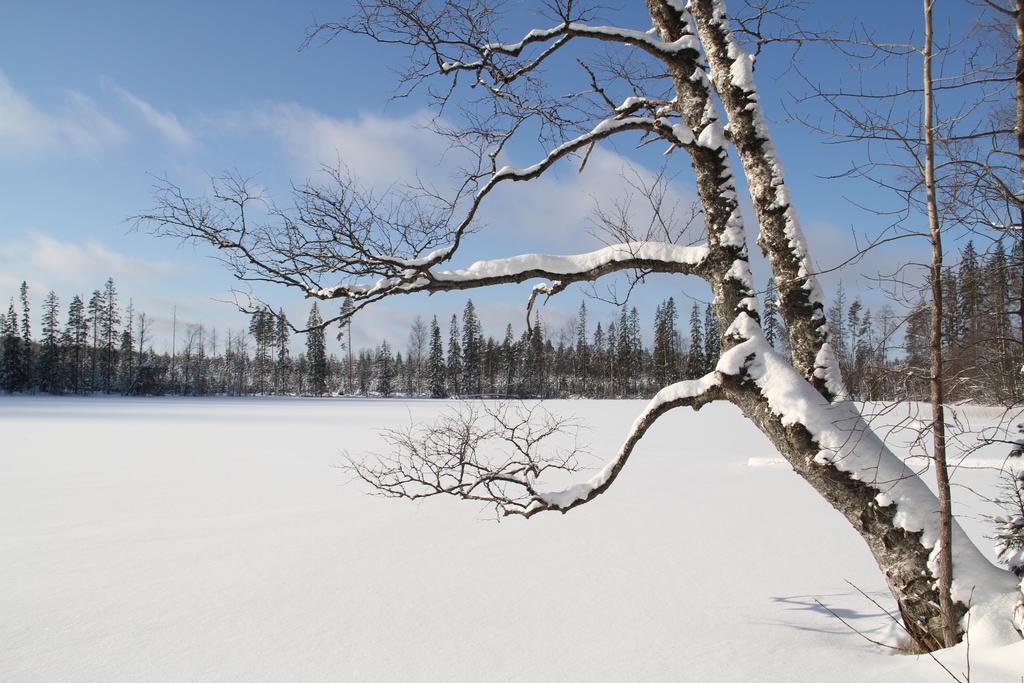 Miiluranta Villas Haapamäki Buitenkant foto